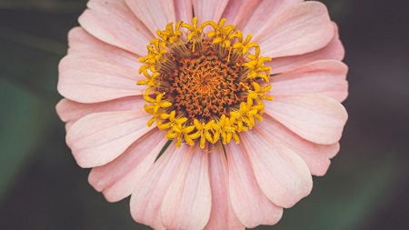 欧洲足球五大联赛的新意